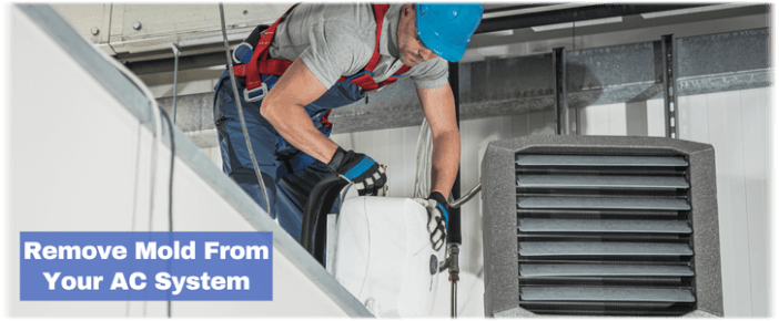 HVAC Mold Removal Glen Ellyn IL